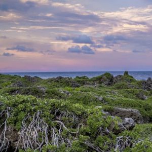 Đảo Guam / Saipan